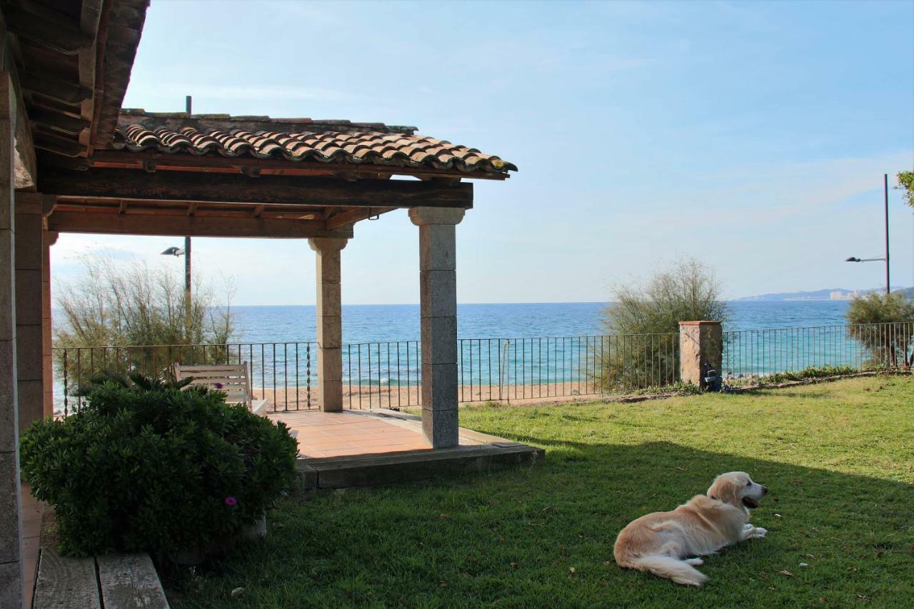 Ancora Vella Villa ซานต์อันโตนี เด กาโลเญ ภายนอก รูปภาพ